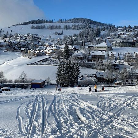 Haus Am Sonnenberg,Todtnauberg, Ferienwohnung 002, Direkt Am Skilift-Skipiste, Naehe Feldberg Luaran gambar
