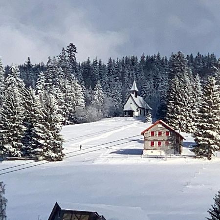 Haus Am Sonnenberg,Todtnauberg, Ferienwohnung 002, Direkt Am Skilift-Skipiste, Naehe Feldberg Luaran gambar