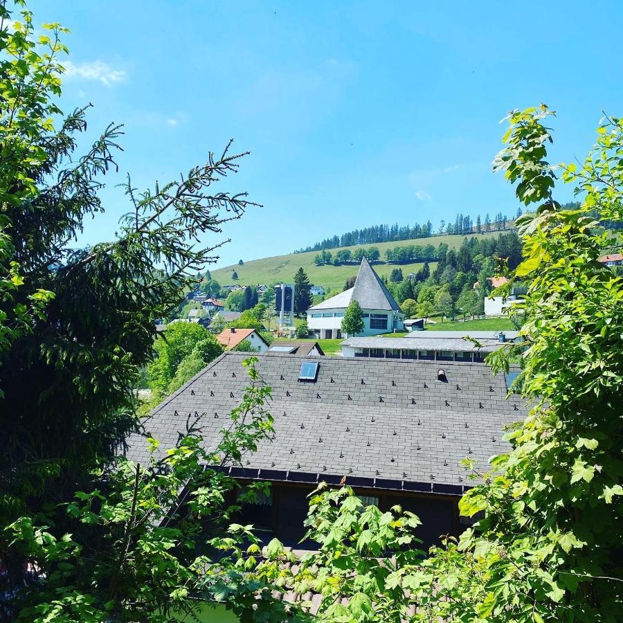 Haus Am Sonnenberg,Todtnauberg, Ferienwohnung 002, Direkt Am Skilift-Skipiste, Naehe Feldberg Luaran gambar
