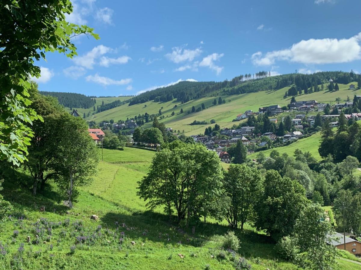 Haus Am Sonnenberg,Todtnauberg, Ferienwohnung 002, Direkt Am Skilift-Skipiste, Naehe Feldberg Luaran gambar