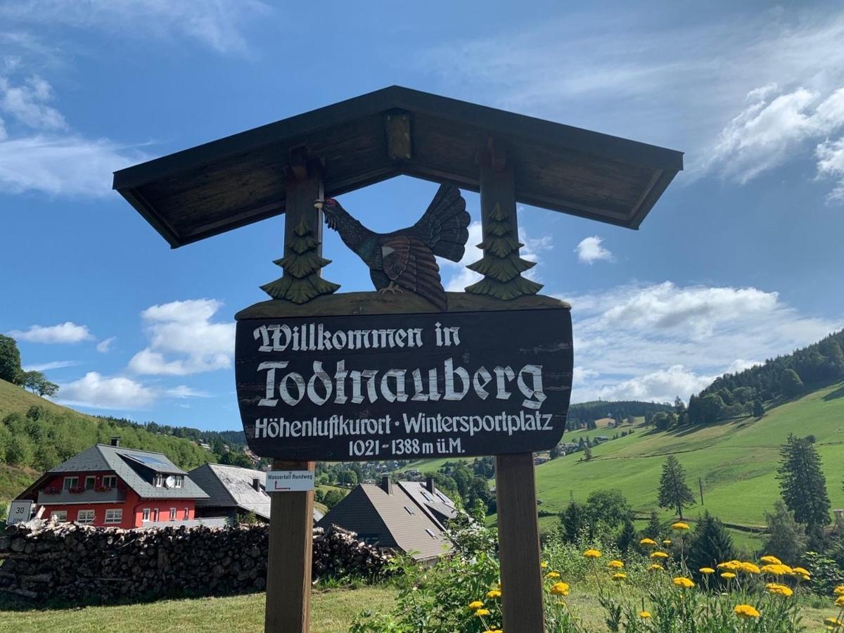 Haus Am Sonnenberg,Todtnauberg, Ferienwohnung 002, Direkt Am Skilift-Skipiste, Naehe Feldberg Luaran gambar