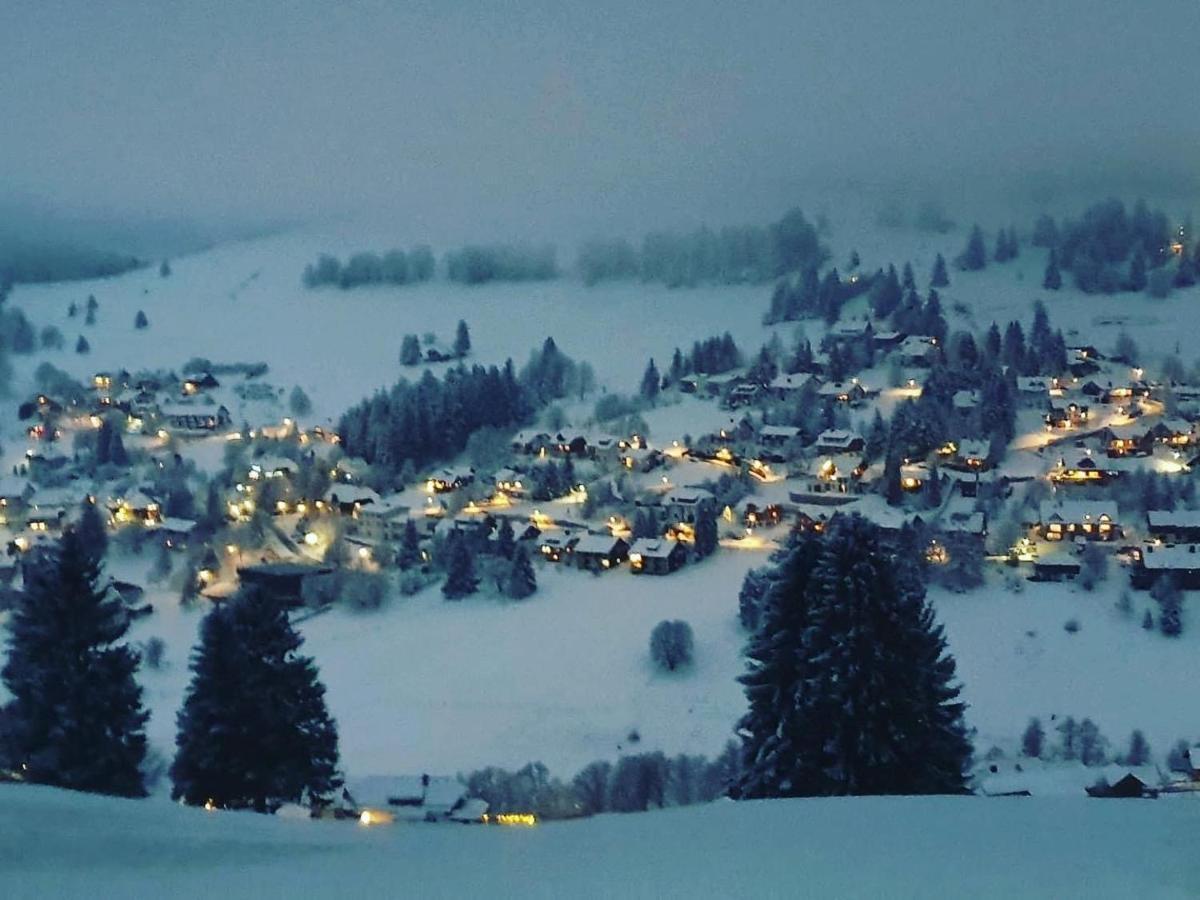 Haus Am Sonnenberg,Todtnauberg, Ferienwohnung 002, Direkt Am Skilift-Skipiste, Naehe Feldberg Luaran gambar