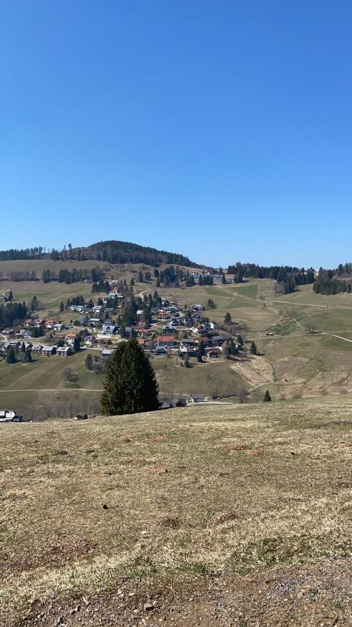 Haus Am Sonnenberg,Todtnauberg, Ferienwohnung 002, Direkt Am Skilift-Skipiste, Naehe Feldberg Luaran gambar
