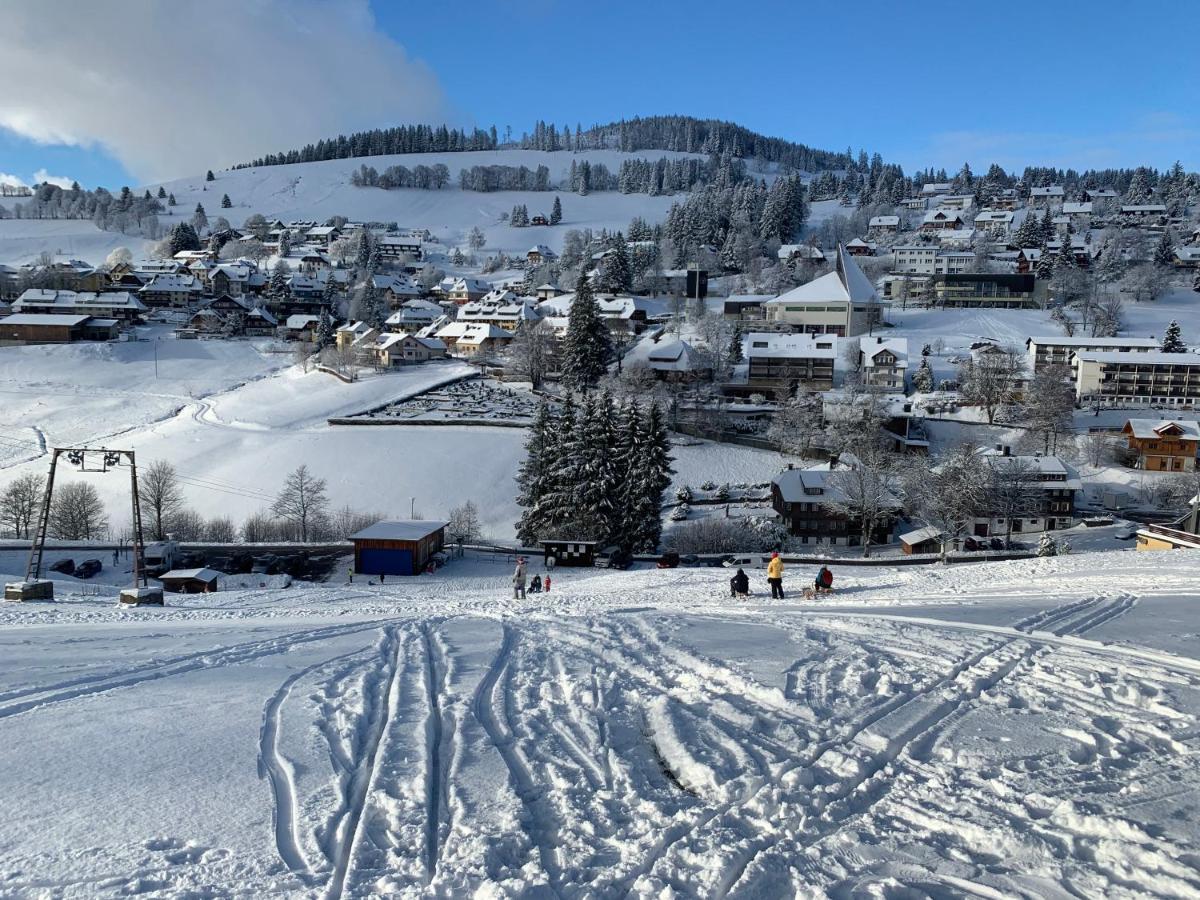 Haus Am Sonnenberg,Todtnauberg, Ferienwohnung 002, Direkt Am Skilift-Skipiste, Naehe Feldberg Luaran gambar