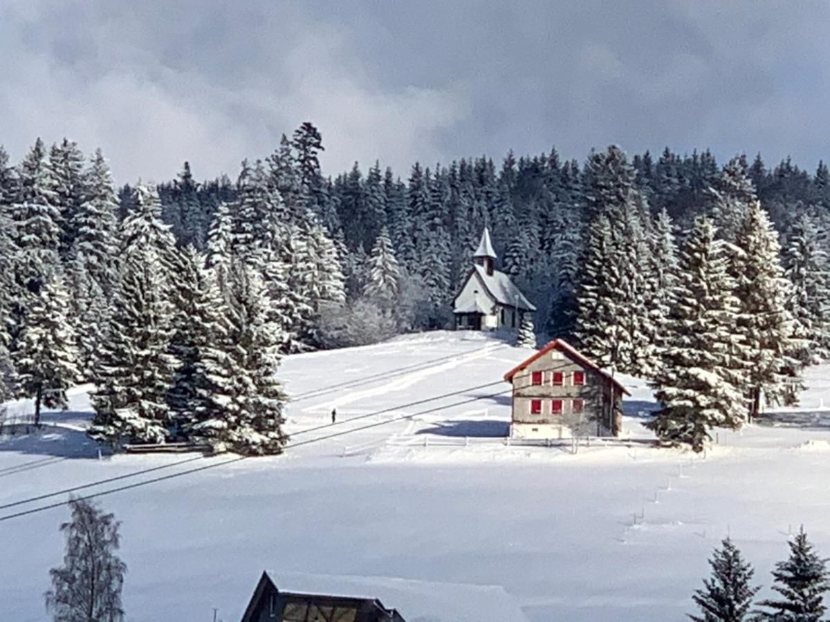 Haus Am Sonnenberg,Todtnauberg, Ferienwohnung 002, Direkt Am Skilift-Skipiste, Naehe Feldberg Luaran gambar