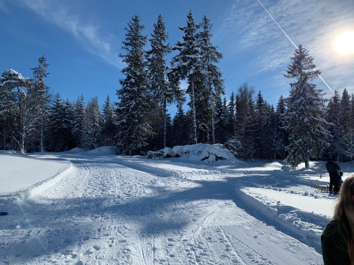 Haus Am Sonnenberg,Todtnauberg, Ferienwohnung 002, Direkt Am Skilift-Skipiste, Naehe Feldberg Luaran gambar